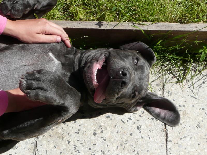 Foto: Nero :-)-5 m�s�c�