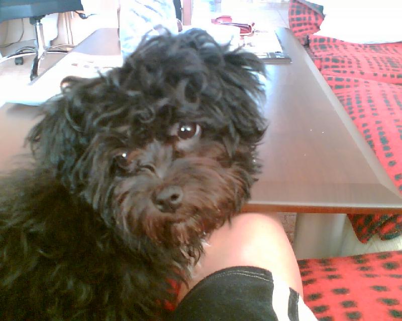 Foto: svatou�ek-Corinka