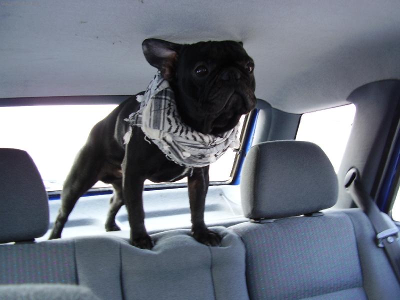 Foto: N� Bucht�k-Si jedu �au