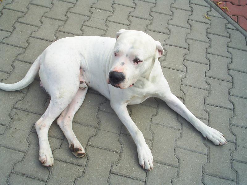 Foto: Barney Barrandovsk� Str�bro