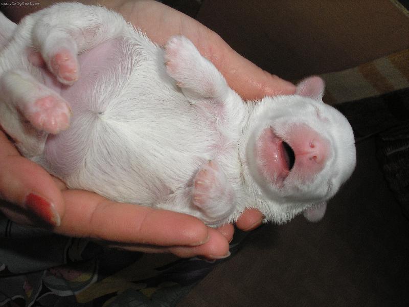 Foto: Mimi-Na�e Barletka