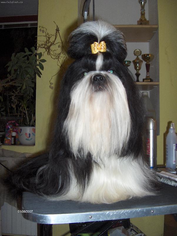 Foto: Luciifer z IVAFRE