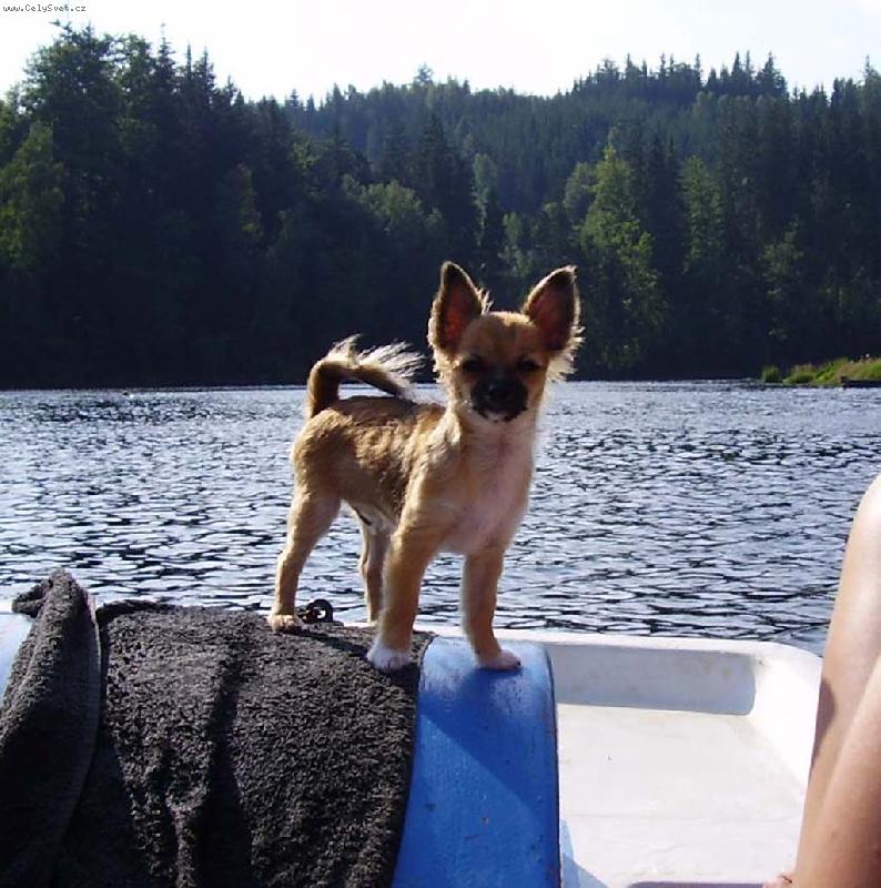 Foto: Mikee-Pan kapit�n