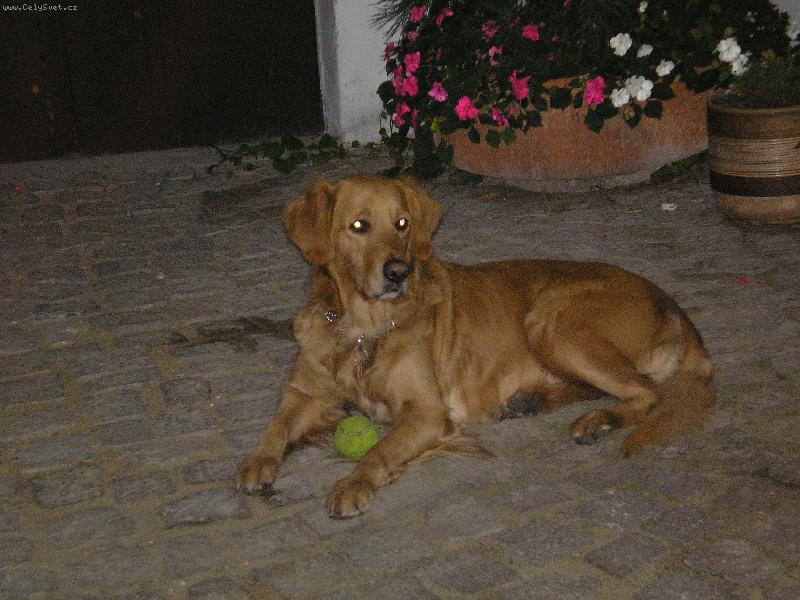 Foto: Bifinka-To je m�j haf�nek:-D