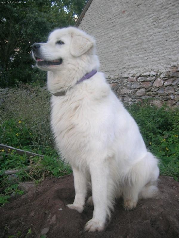 Foto: Sisi Biely d�mon-D�stojn� d�ma