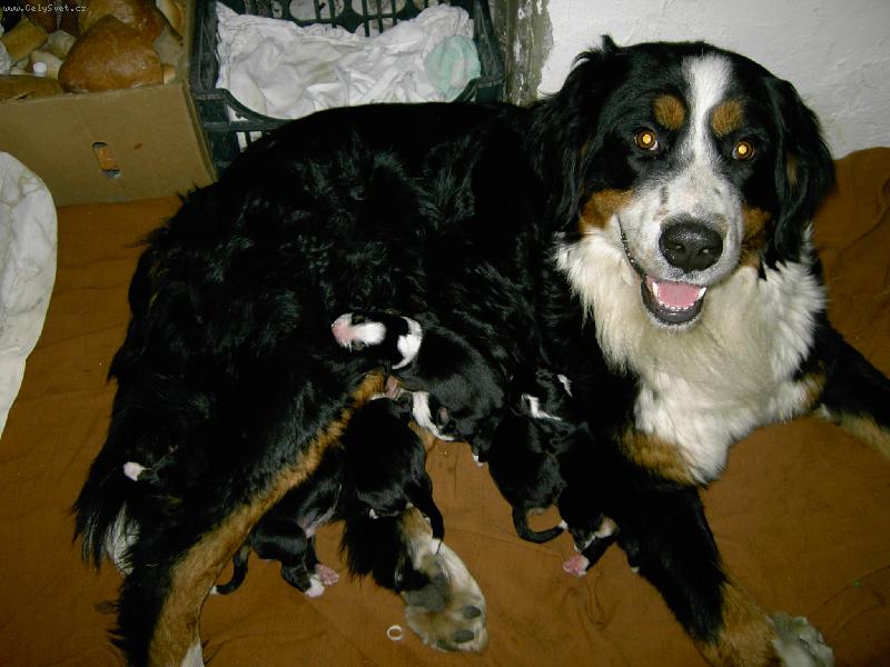 Foto: Bela-hrd� mamka