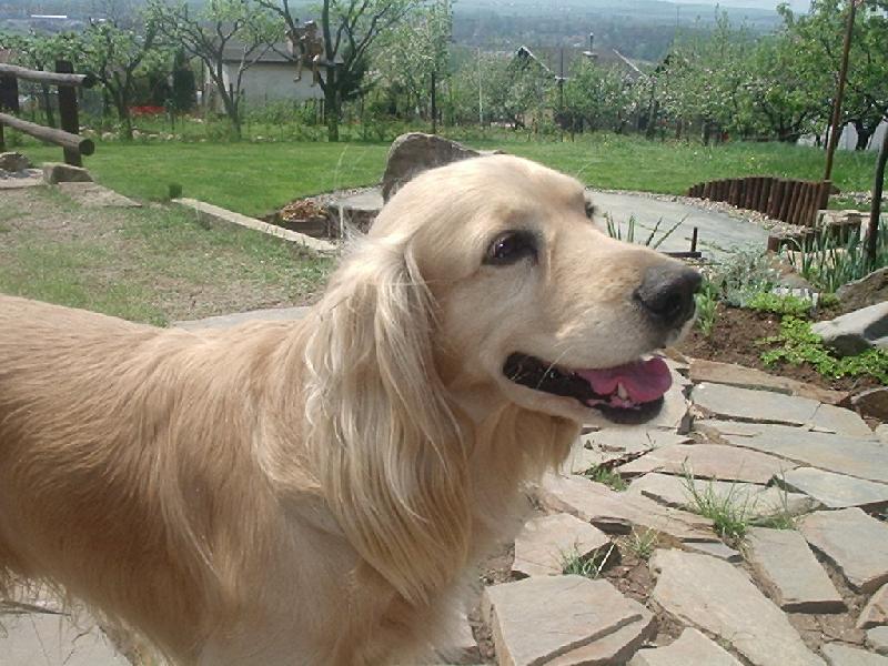 Foto: Don���k-Na zahr�dce je mi dob�eee