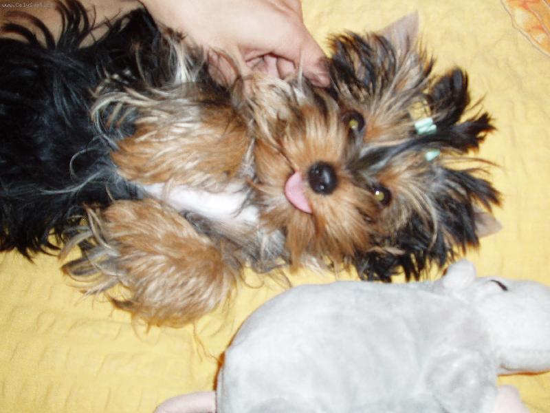 Foto: chanelka 5m�s�c�-Chanelka