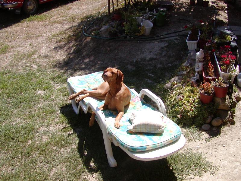 Foto: Mates le��c�