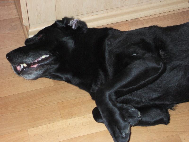 Foto: Ben����ek-u����...p�iiiknut���.....