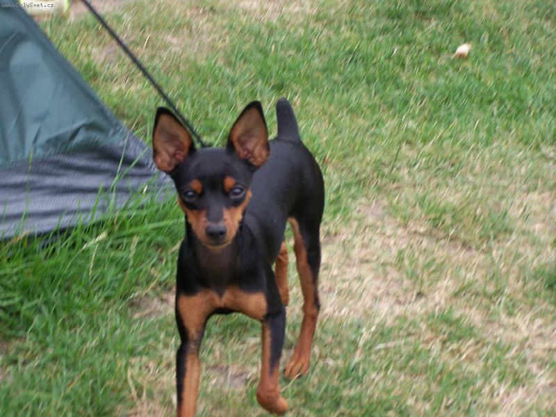 Foto: Cherry-Malink� Cherry