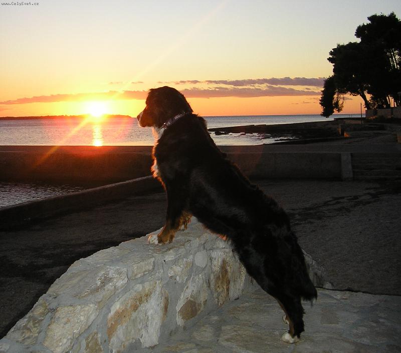 Foto: Z�pad slunce-Chorvatsko z��� 2007