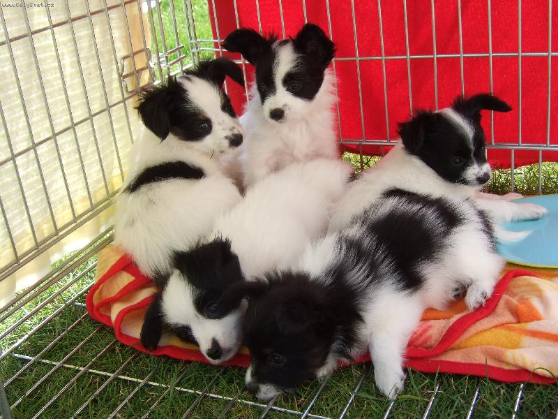 Foto: Miminka-Na�e mal� �t�st��ka