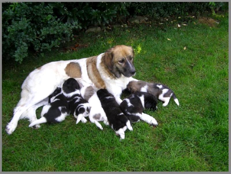 Foto: chov. st.-HV�ZDA VYSO�INY