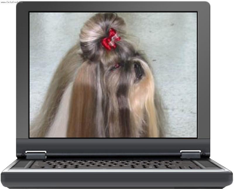 Foto: CH.Jeron Atrei