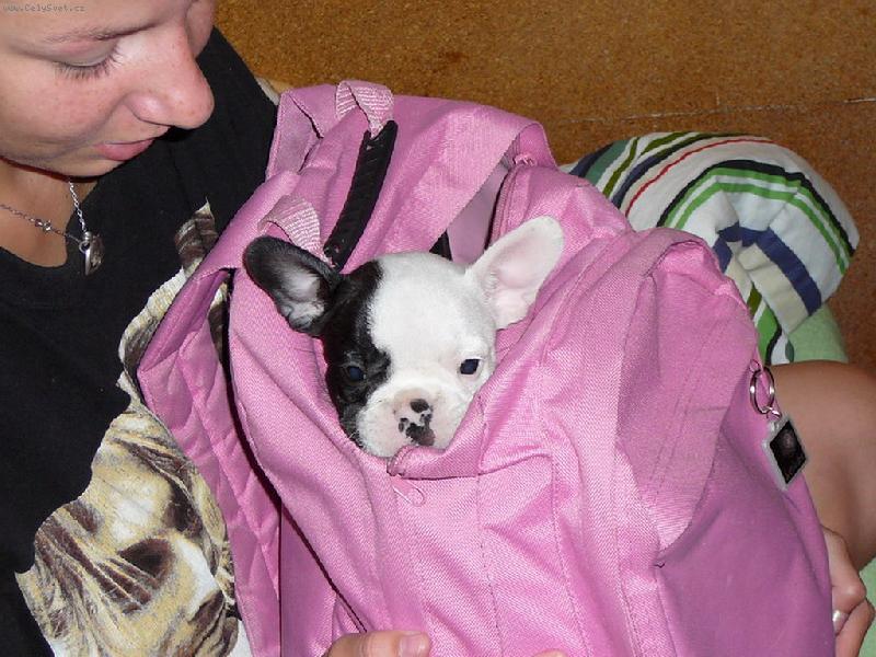 Foto: Lilith - mal� mimi-V ba���ku...