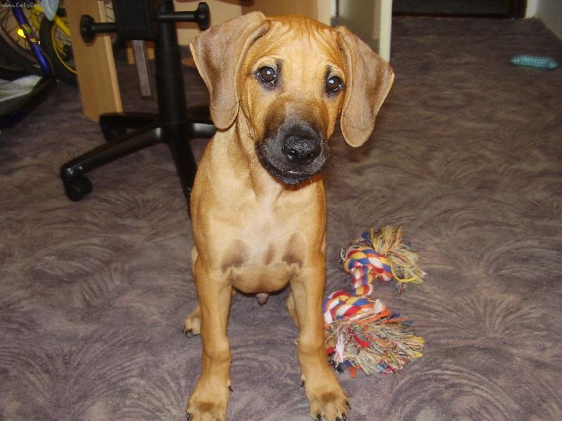 Foto: Aaron-U� m�m t�i m�s�ce!