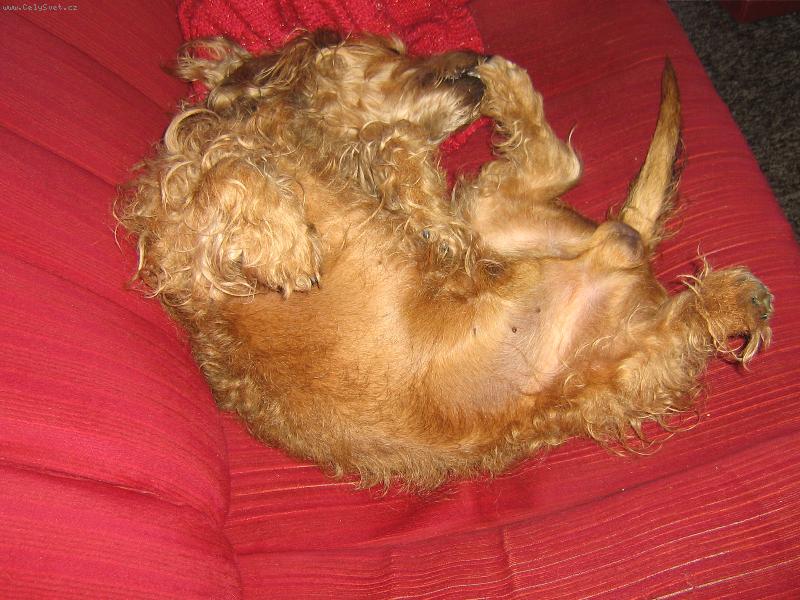 Foto: Tom��ek-jazve��k