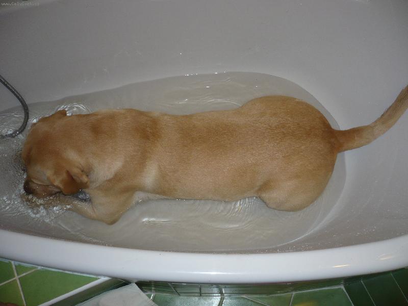 Foto: J� m��u i do vany