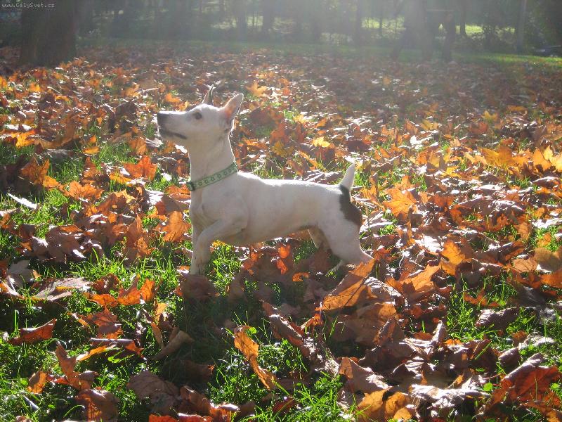 Foto: Ebby-Na slun��ku