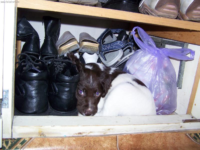 Foto: Atos - 7 t�dn�-Prvn� den doma