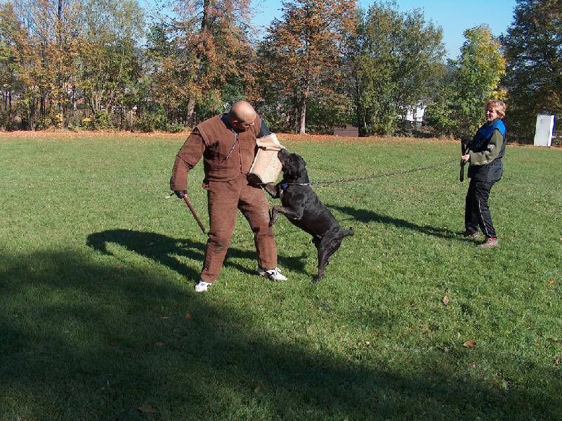 Foto: Cartouch Agip-Obrany