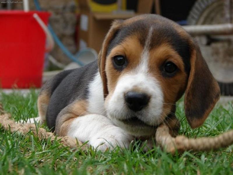 Foto: monty-�i�l�n� lana