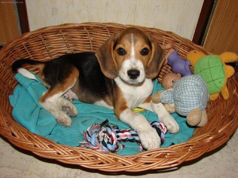 Foto: monty-takhle sem nejhodn�j��:)