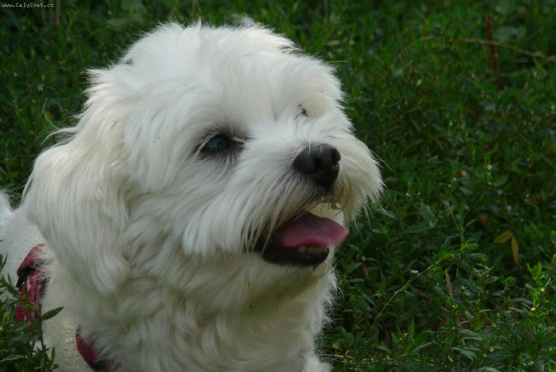 Foto: moje jedina lasocka-luuubenkam ho