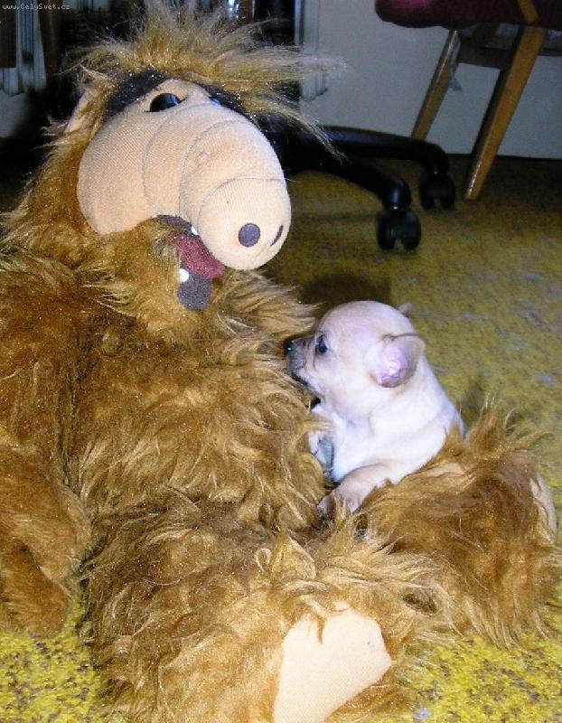 Foto: A kterejpak si ty ????