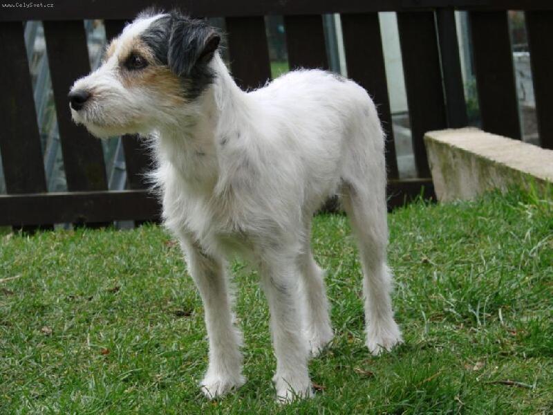 Foto: Aj�a-Co se tam d�je?...