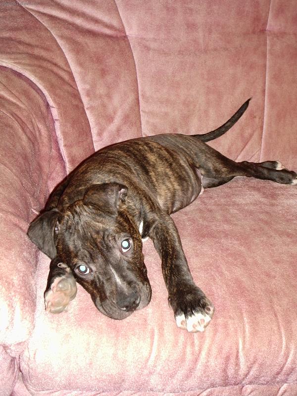 Foto: Dag�sek-jsou mi skoro 4m�s�ce a odpo��v�m