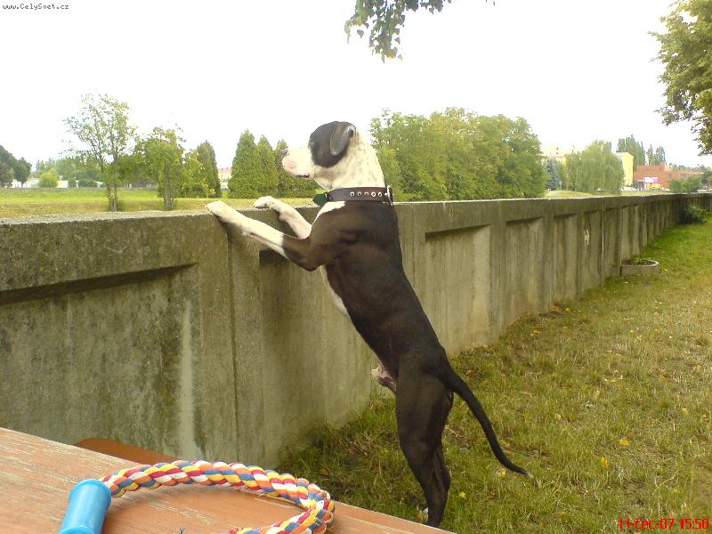 Foto: 15 m�s�c�-Bade�ek