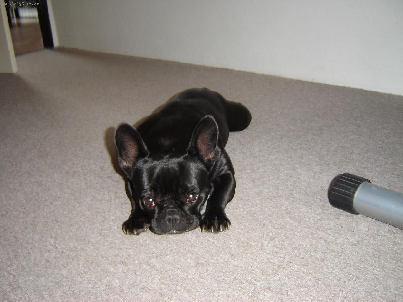 Foto: Ketynka-muj milasek v zabacku