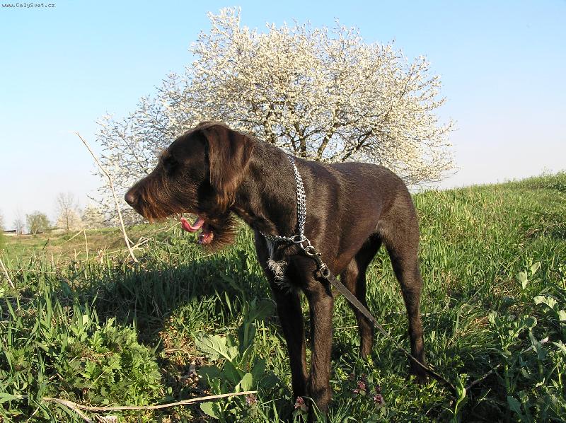 Foto: Orina z Kyjovic