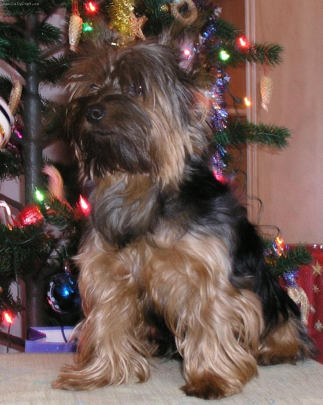 Foto: Max a �ek�n� na d�re�ek