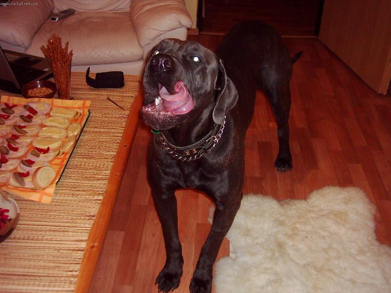 Foto: Nero 10 m�s�c�