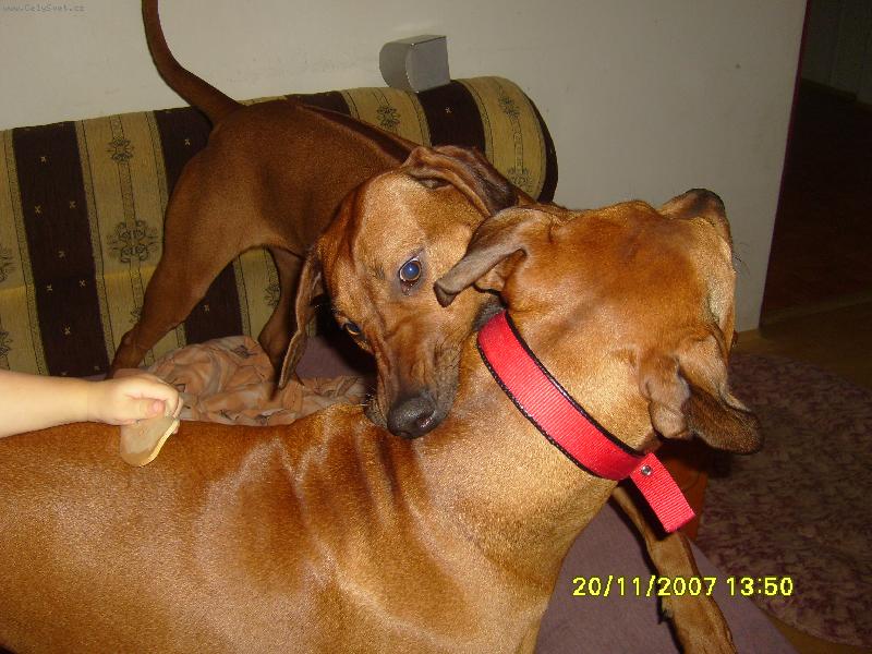 Foto: sendynka a mia-ne�tvi m�