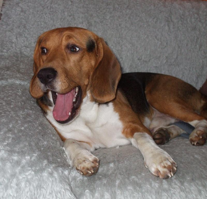 Foto: Mil��ek-asi p�jdu spinkat