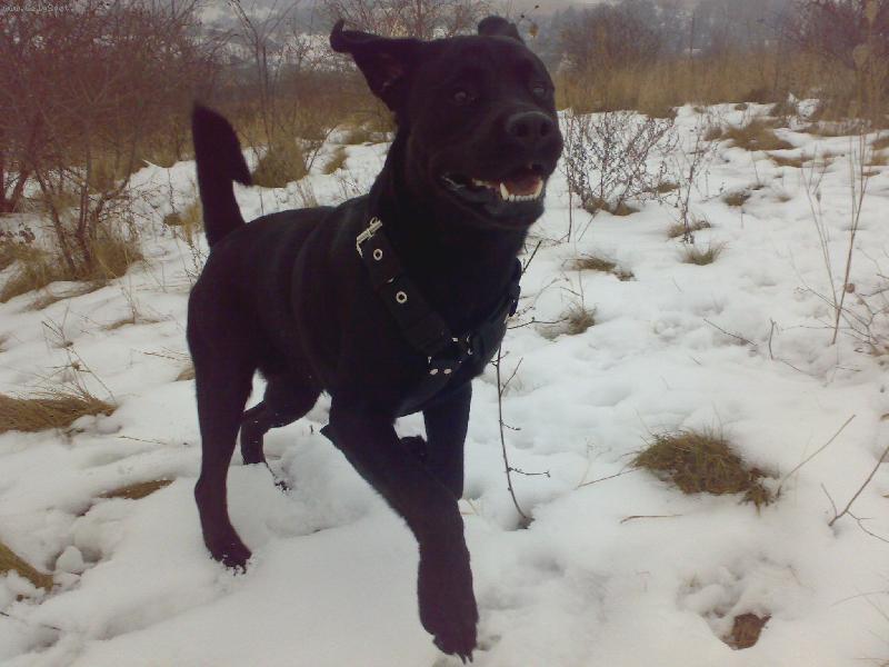 Foto: Sid�k-l�ska moje