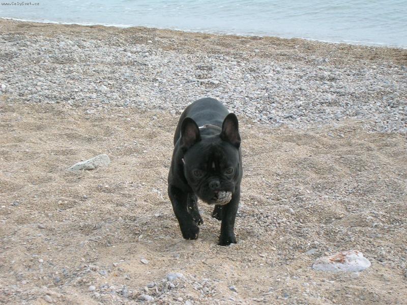 Foto: se�eru co uvid�m...