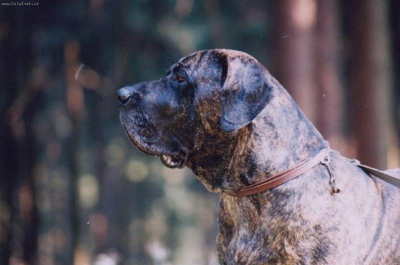 Foto: Crusado Maokama ,�est let