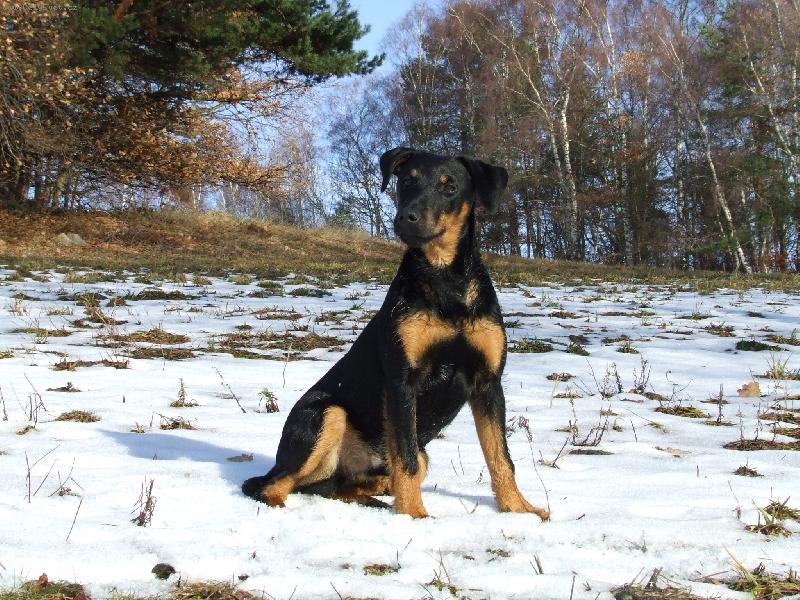 Foto: Reno z Holubick� str�n�