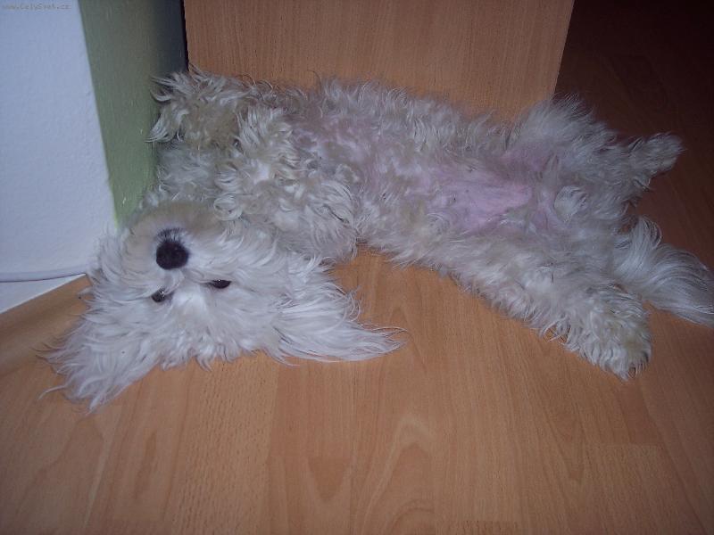 Foto: Abb�sek-moje nejobl�ben�j�� poloha