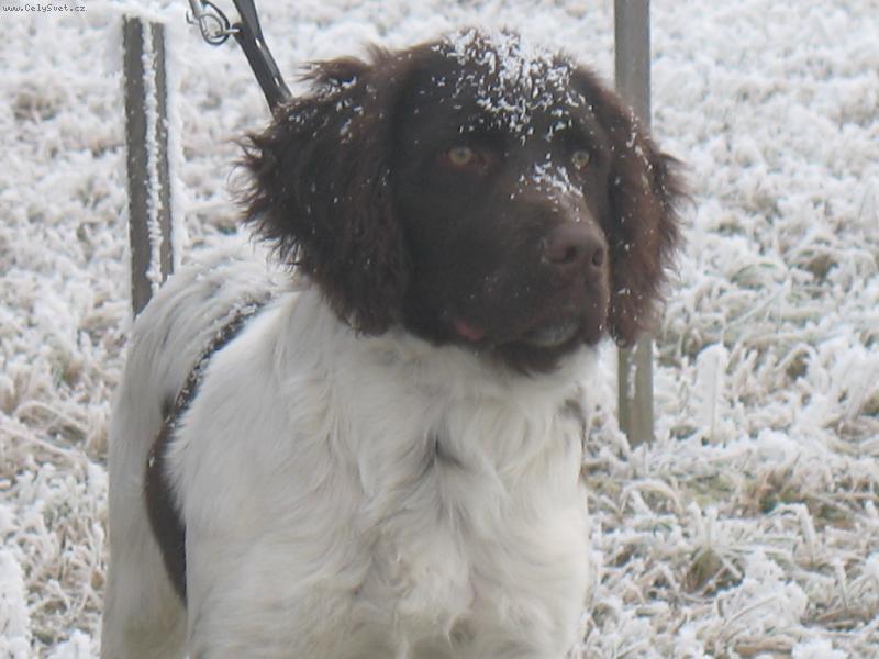 Foto: Brix od Zaj�cova ml�na