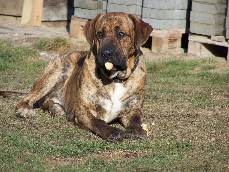 Foto: Fidelek-rohl��ky, ty j� moc r�d