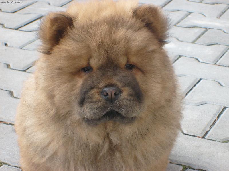 Foto: Jonita Haltrava