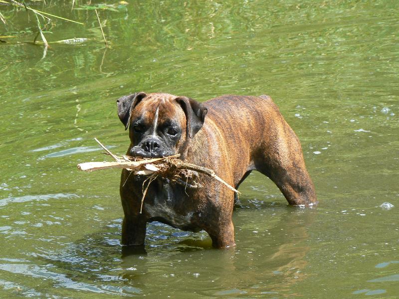 Foto: Blondy ve vodn�m �ivlu