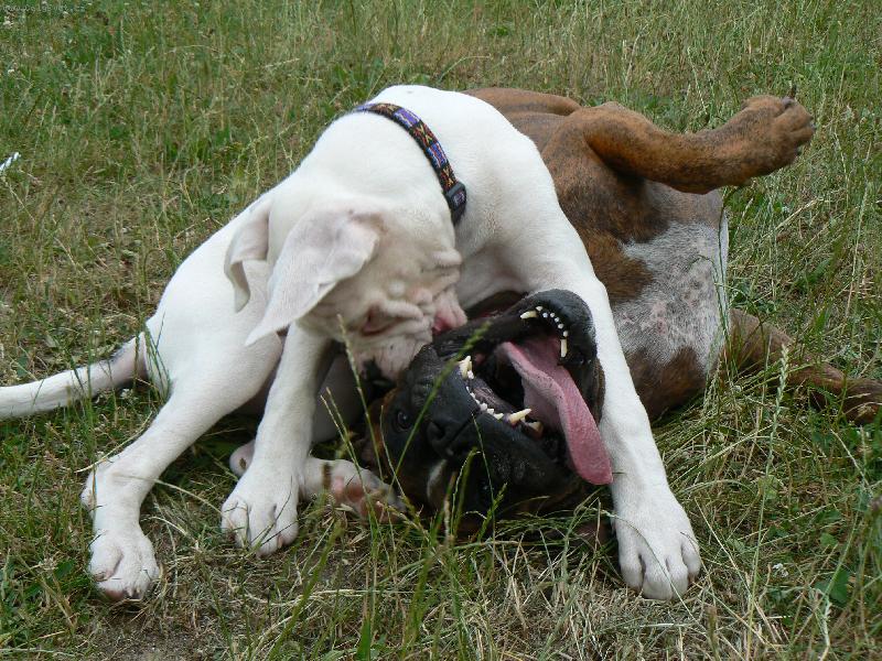 Foto: Blondy a Artien