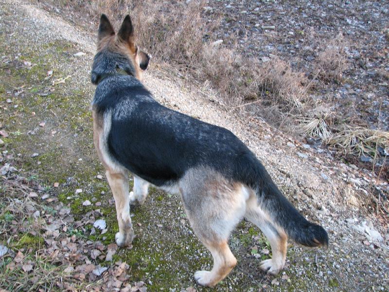 Foto: Rorie-Krasavica